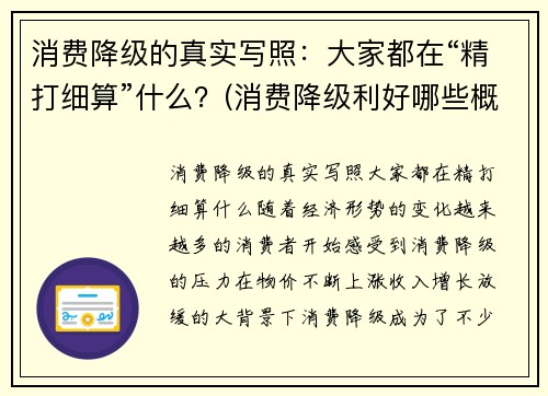 消费降级的真实写照：大家都在“精打细算”什么？(消费降级利好哪些概念股)